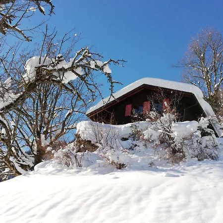 Ferienhaus Schnider Galgenul المظهر الخارجي الصورة