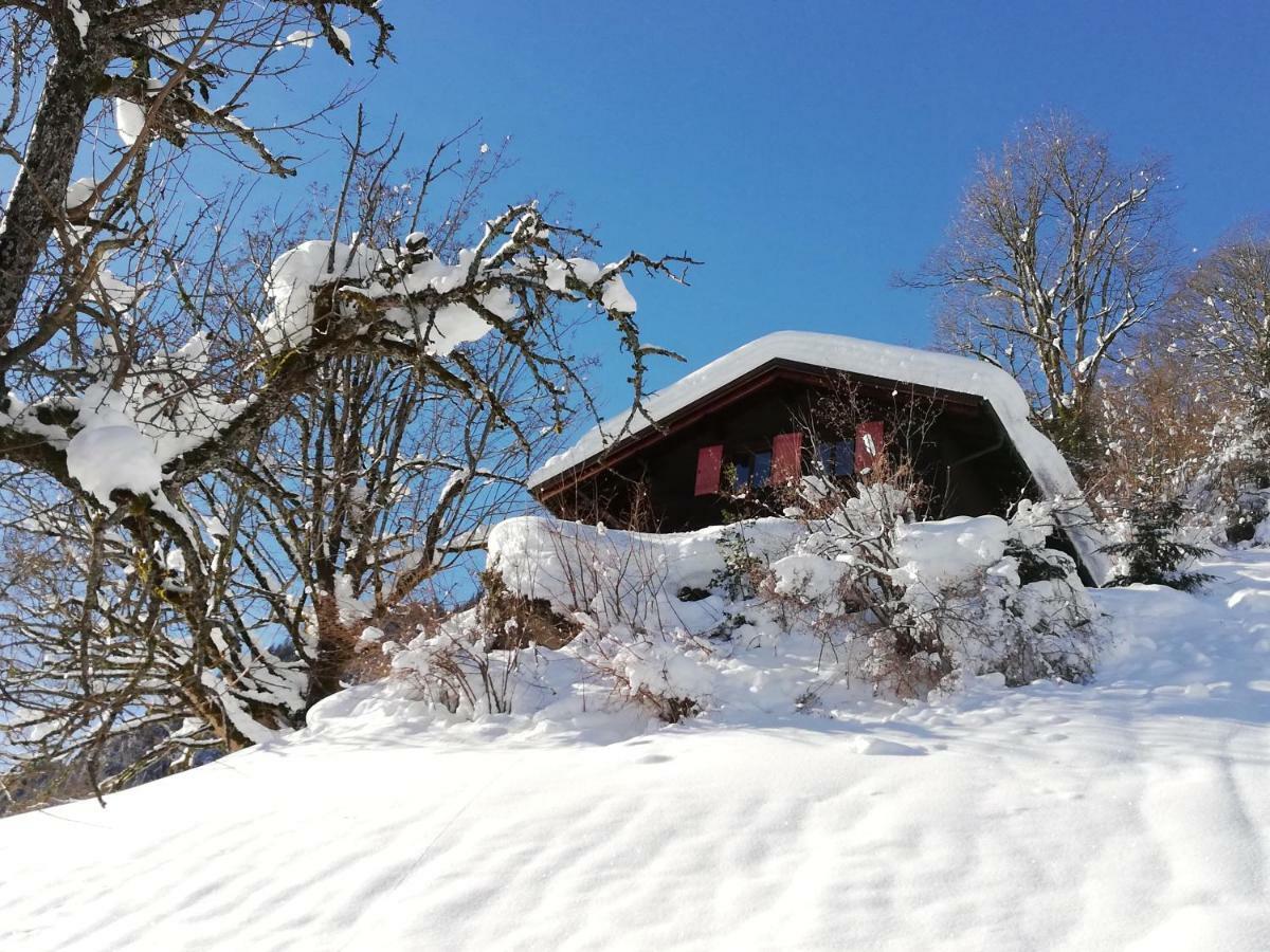 Ferienhaus Schnider Galgenul المظهر الخارجي الصورة